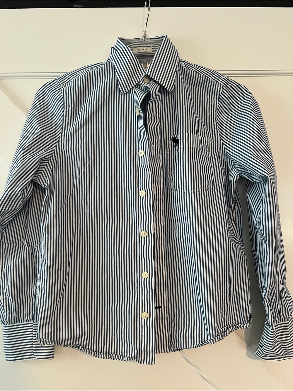 Abercrombie Kids Striped Blue and White Button-Up Shirt, M